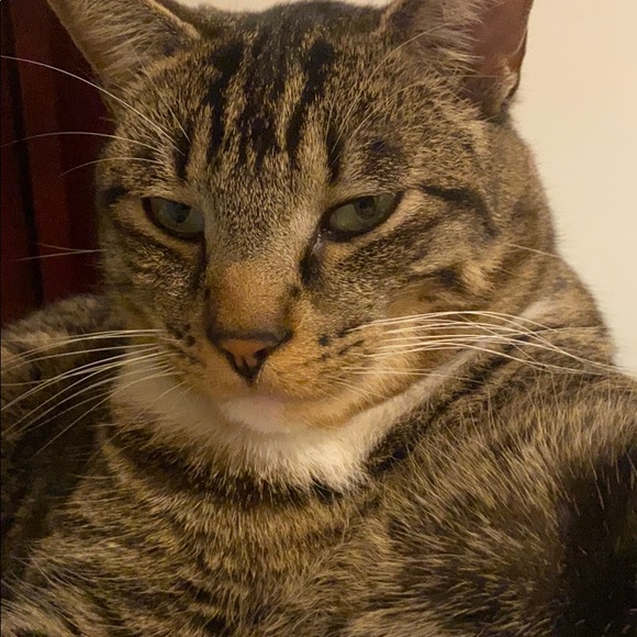 Meet your Posher, Peter - Picture 1 of 1